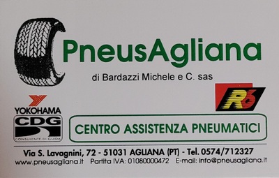 logo sas
